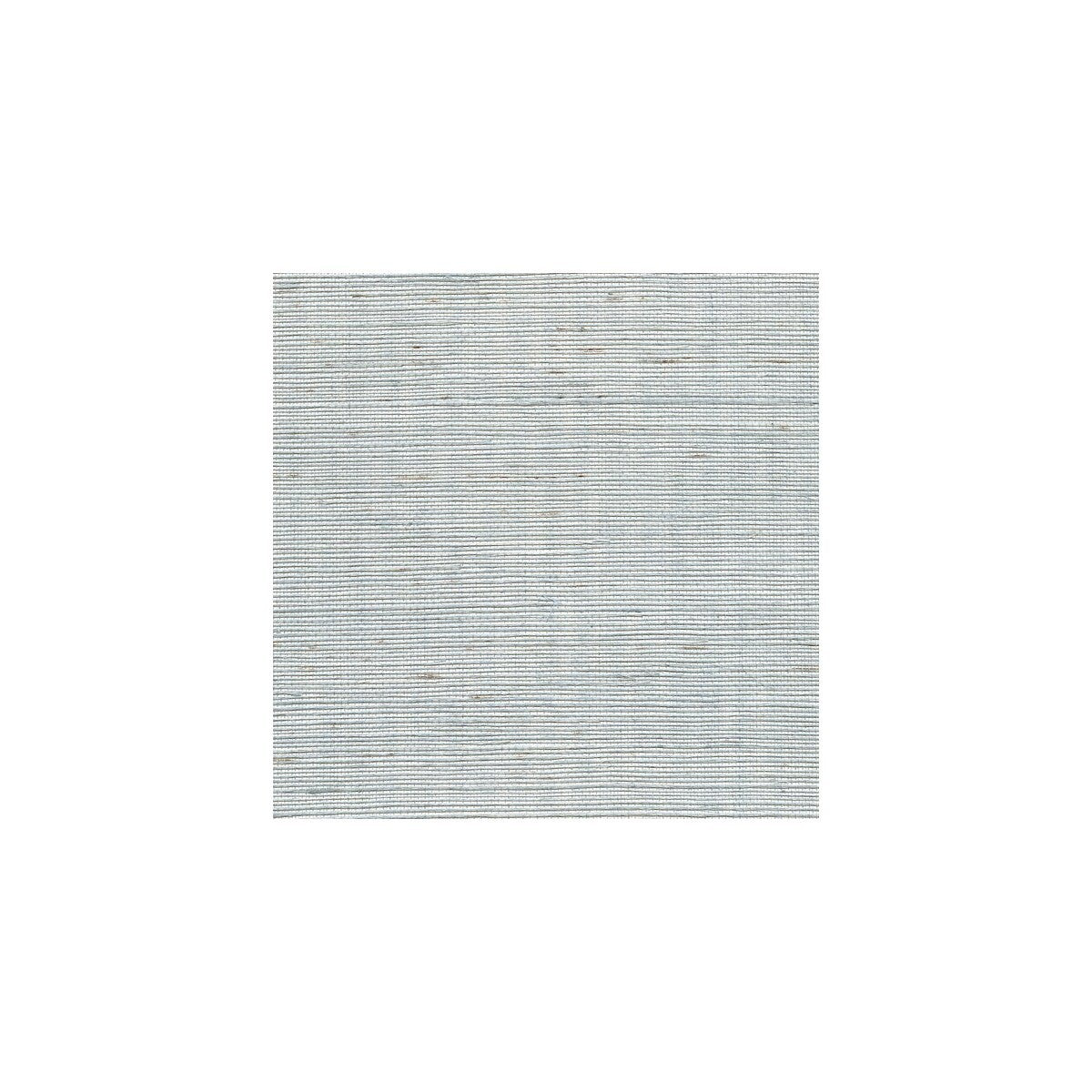 wss4584wt0-metallic-sisal-sky-winfield-thybony