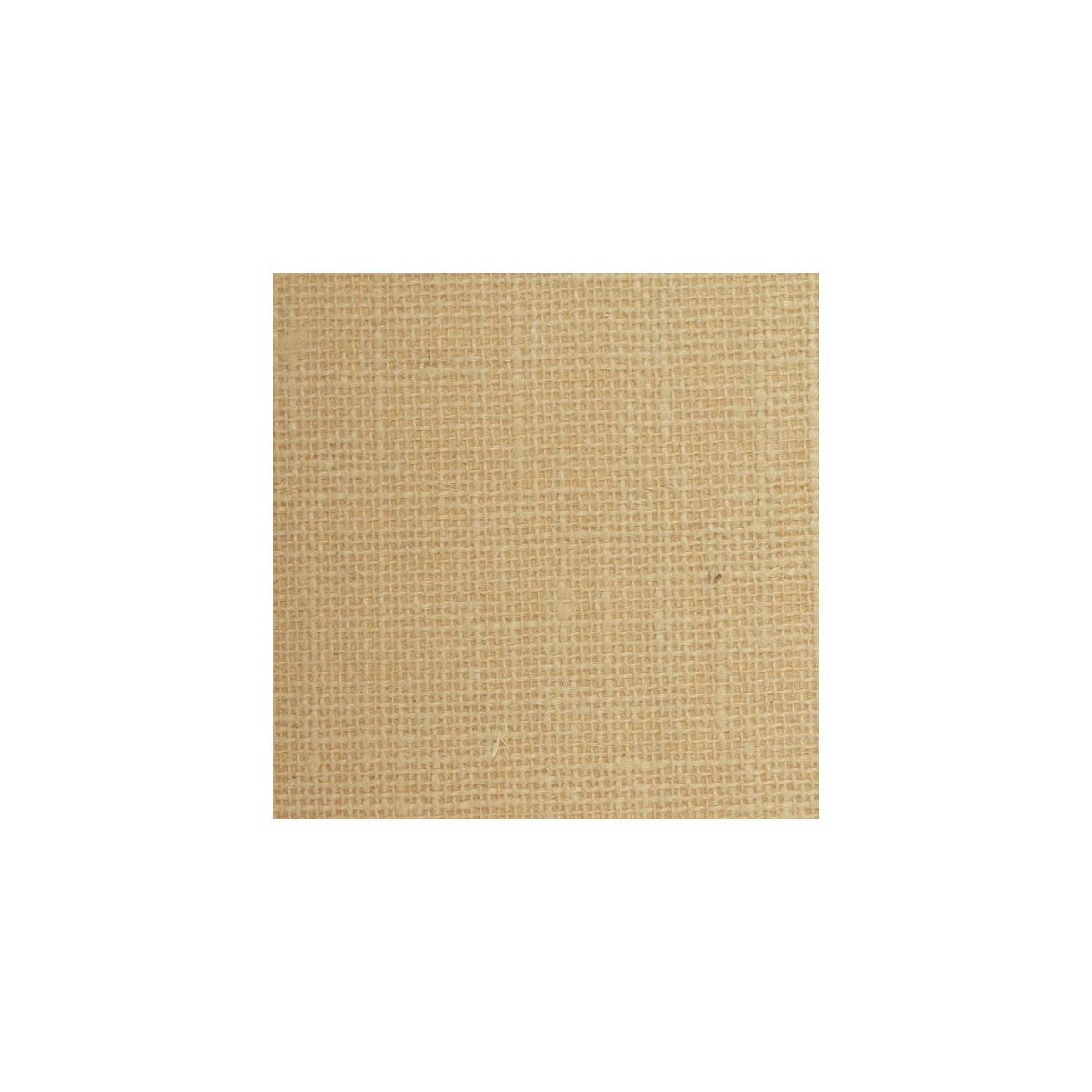 wse1259wt0-winfield-thybony-wse1259-wt-winfield-thybony