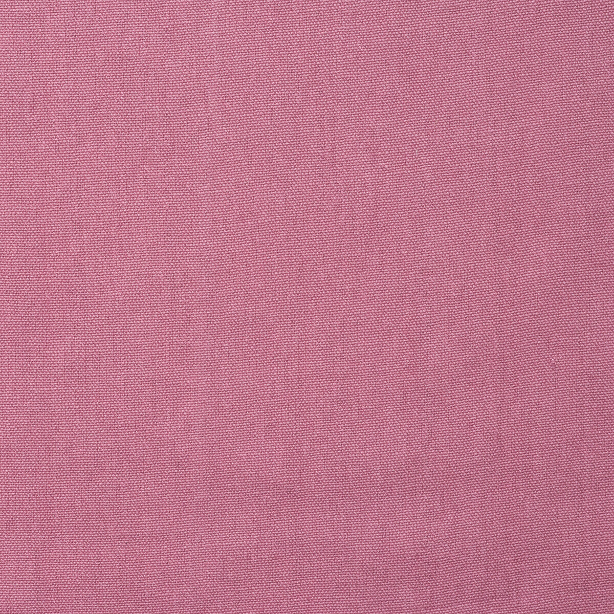 am10045270-rocco-rose-kravet-couture
