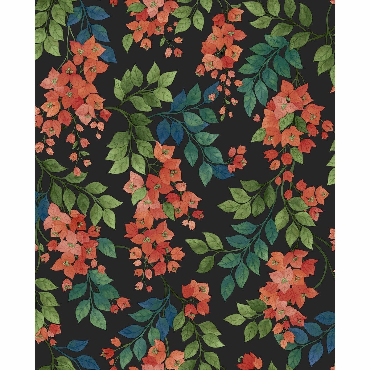 1176017cs0-bougainvillea-rougegreenc-skycharcoal-cole-son