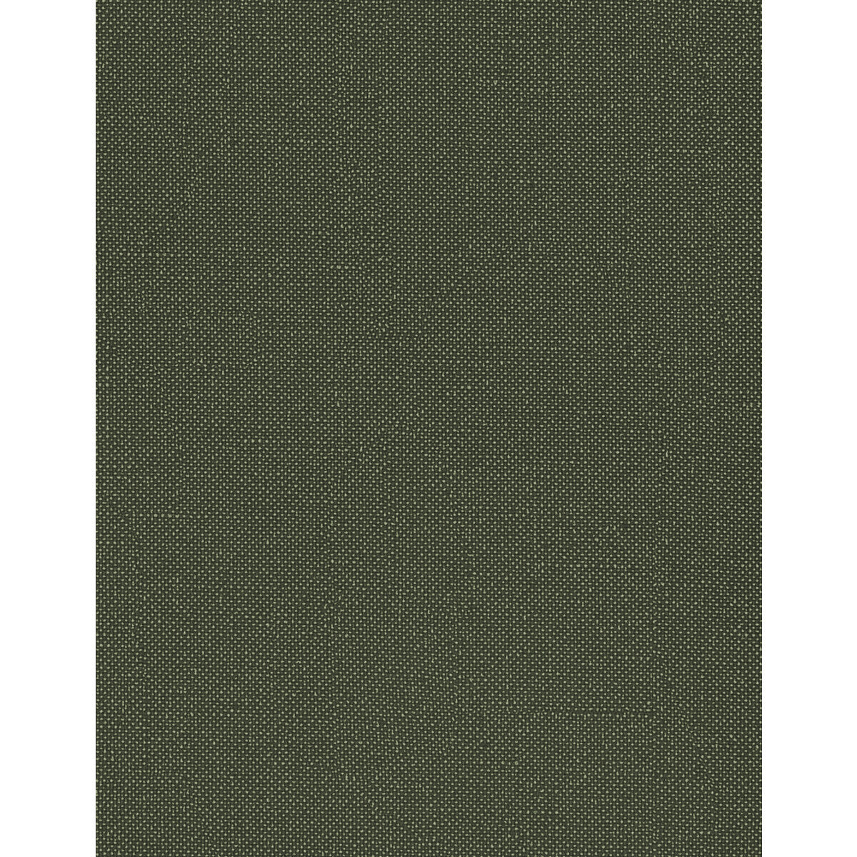 wtn1053wt0-opulence-forest-winfield-thybony