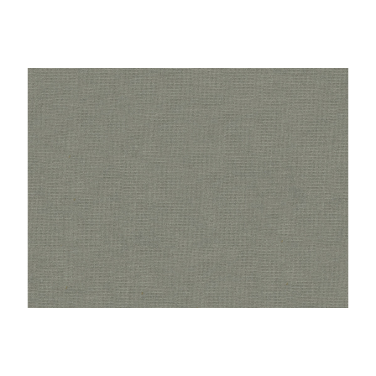 8013150110-charmant-velvet-pewter-brunschwig-fils