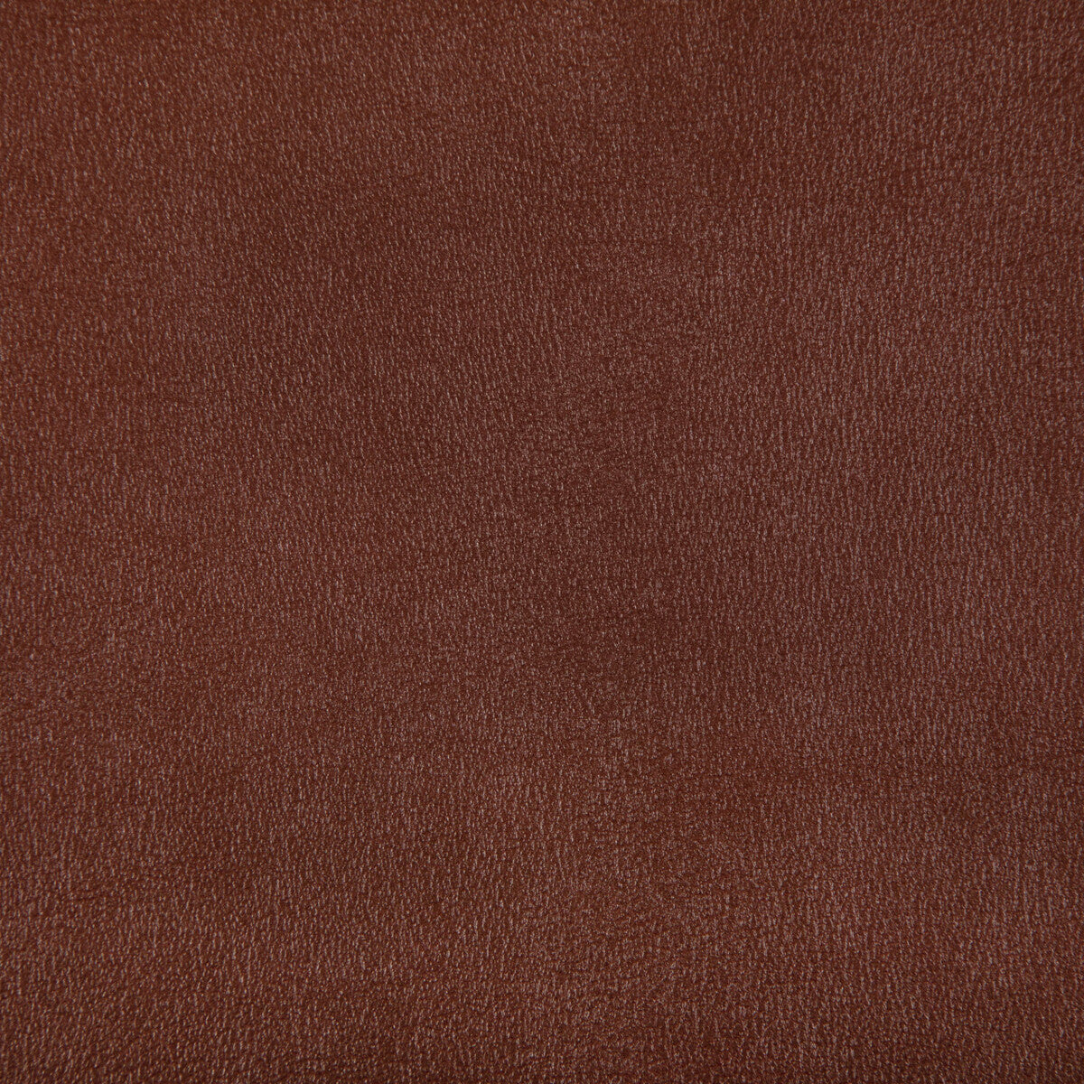 agatha60-agatha-copper-kravet-contract