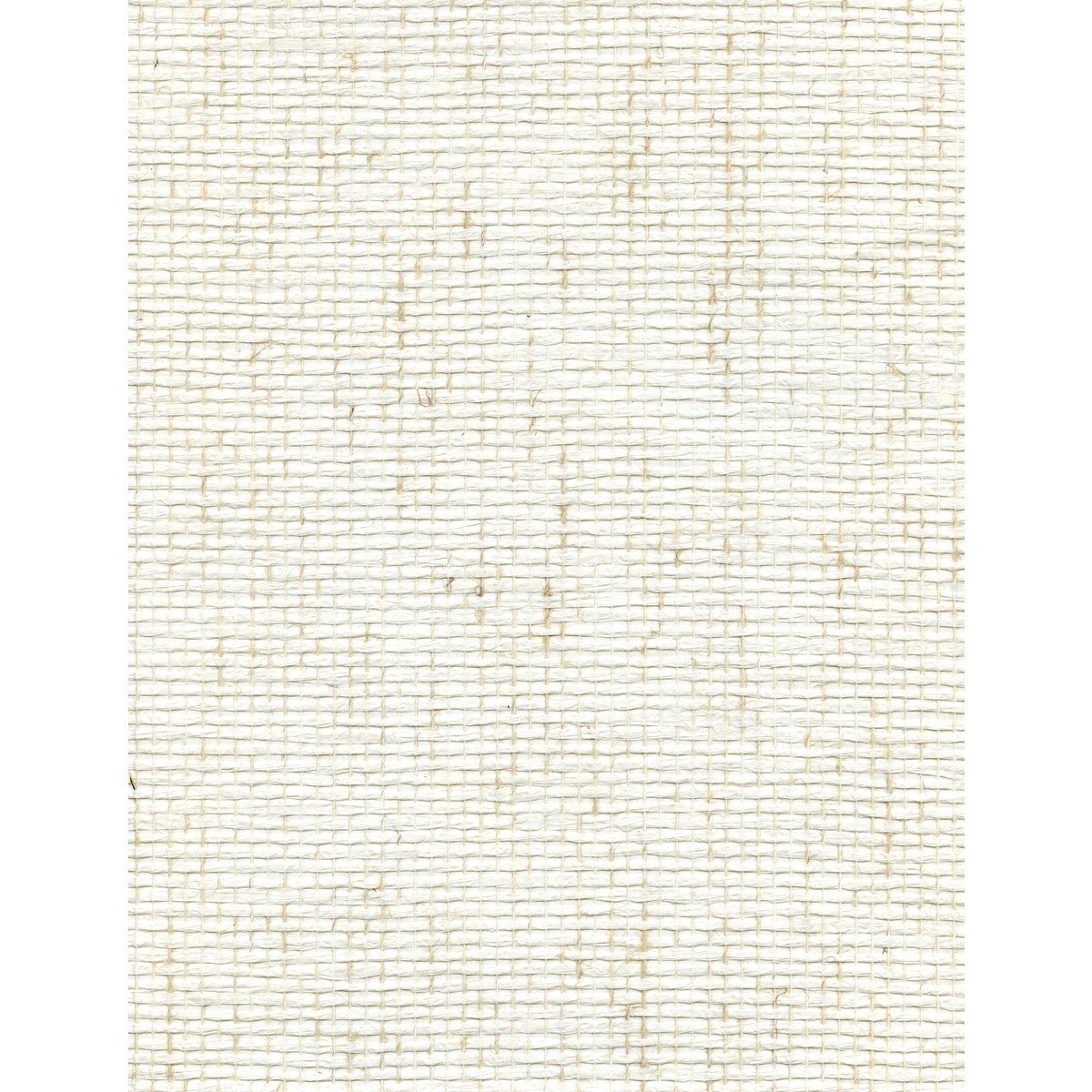 wnw2224wt0-pick-weave-vanilla-bean-winfield-thybony
