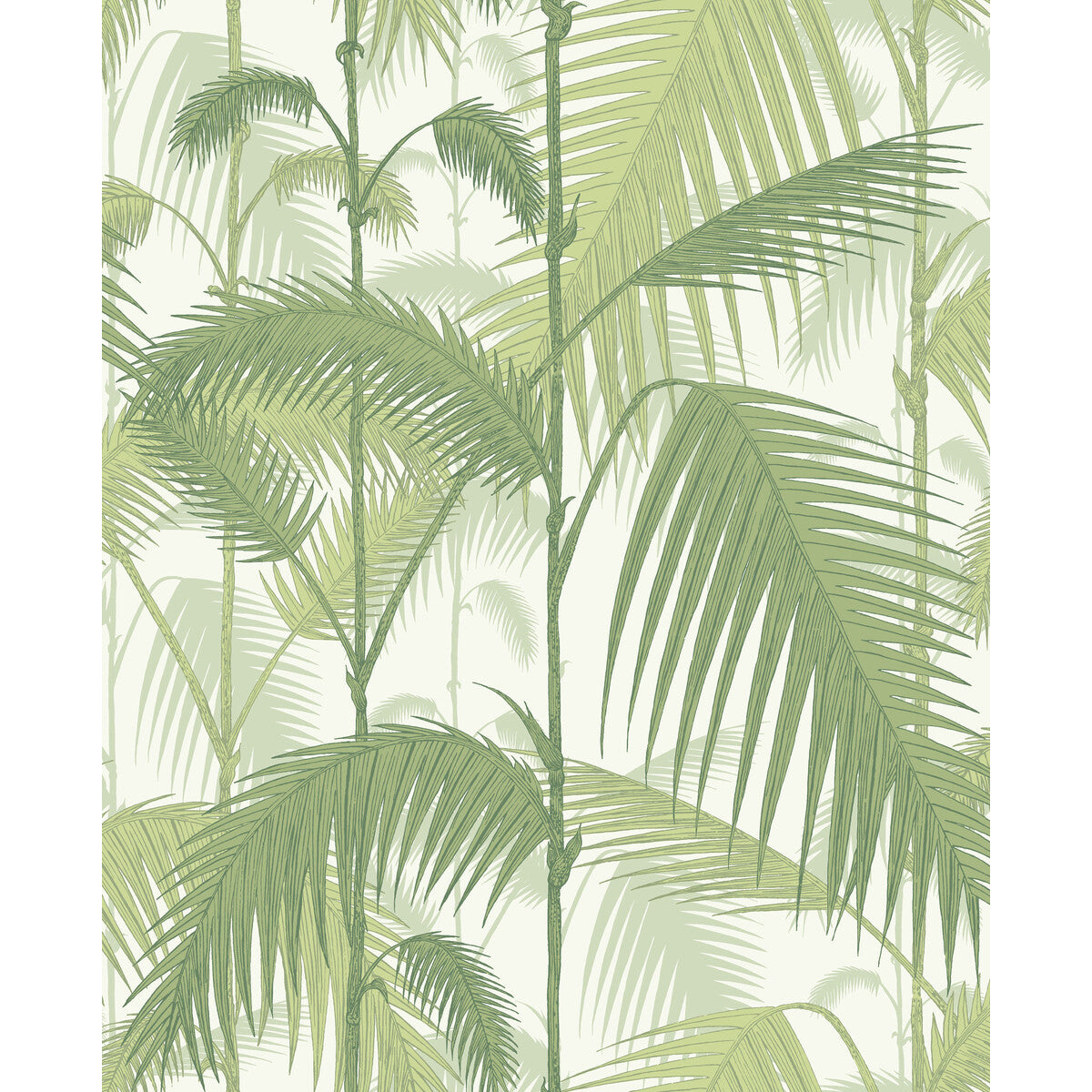 951001cs0-palm-jungle-olive-grewhite-cole-son