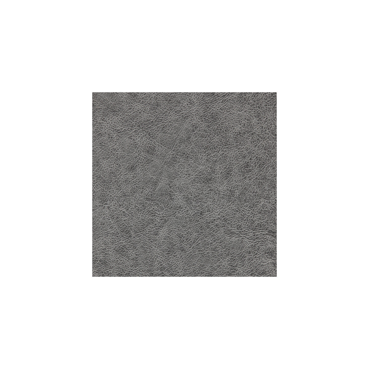 wpw1134wt0-enduring-charcoal-winfield-thybony
