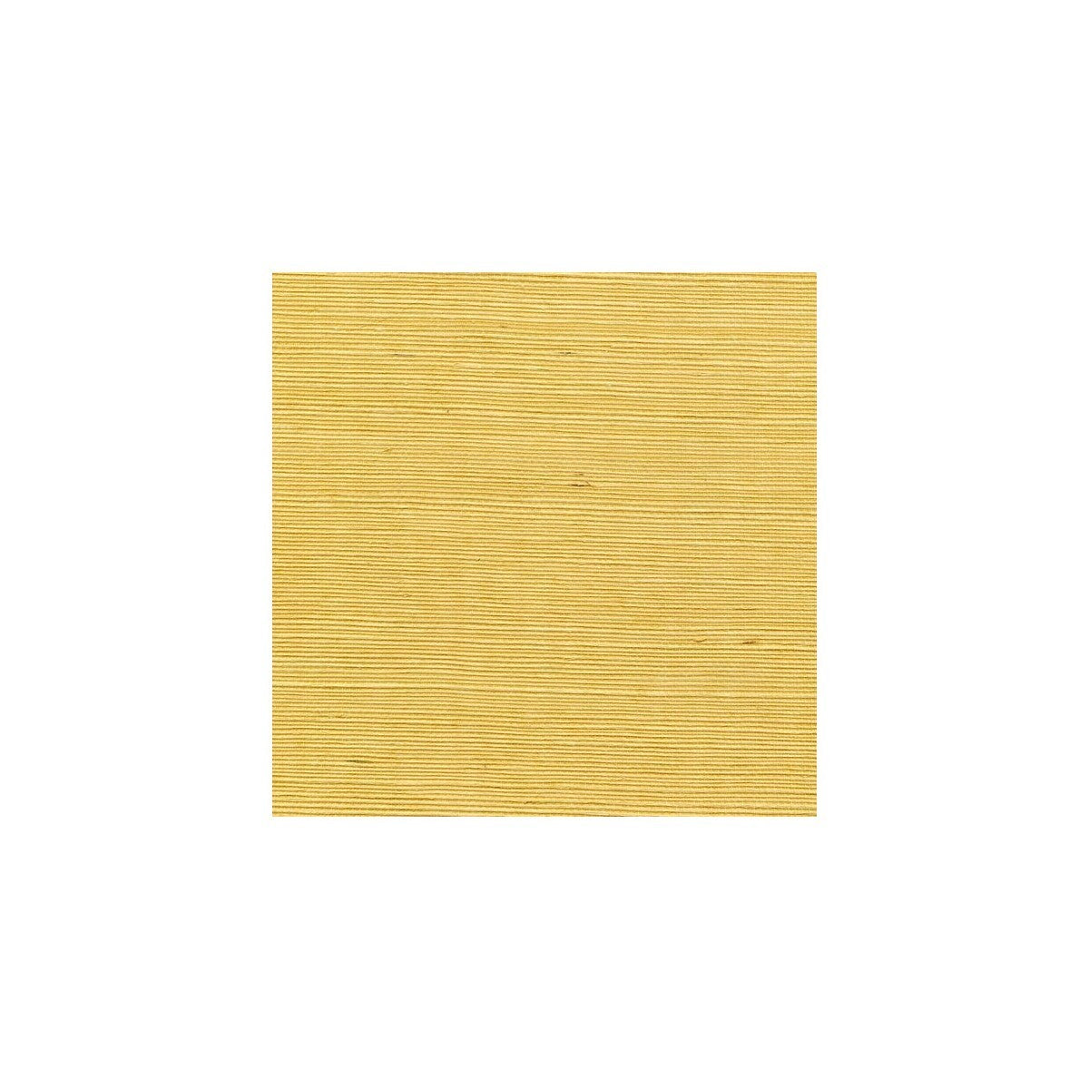 wss4523wt0-sisal-sole-winfield-thybony