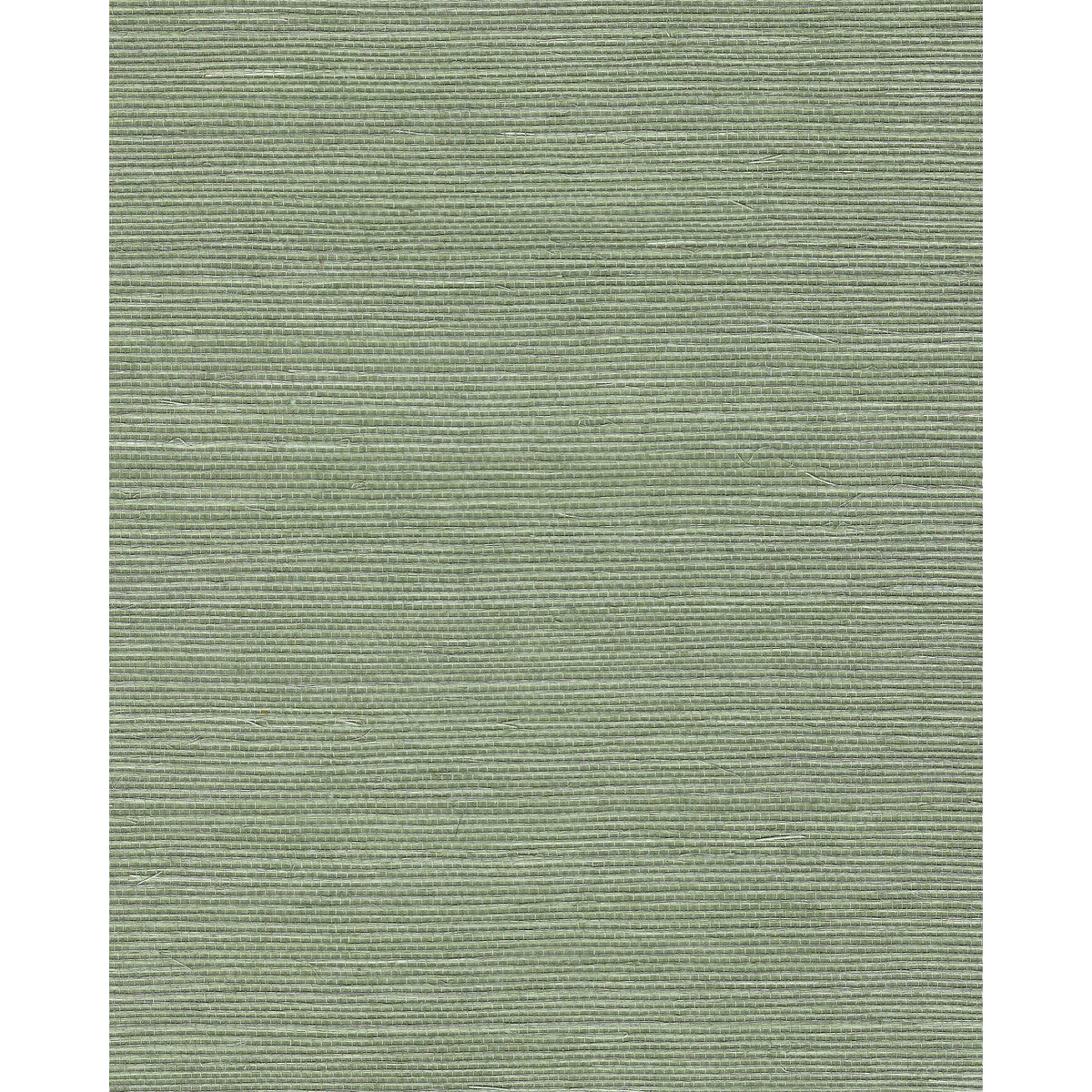 wnr2110wt0-chiyo-sisal-sage-winfield-thybony