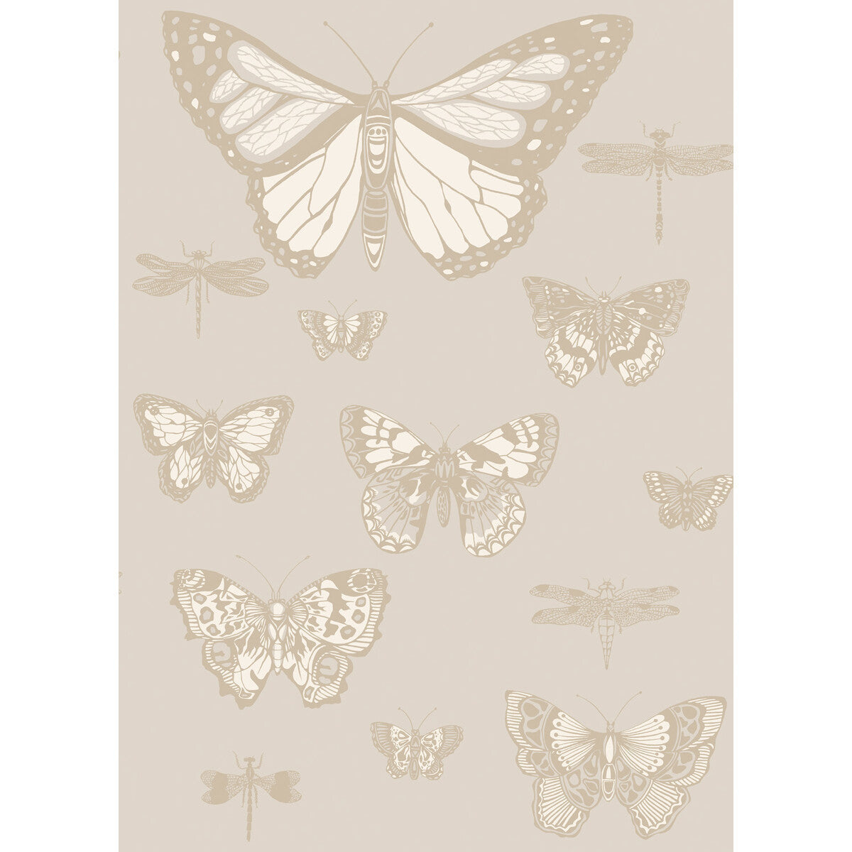 10315064cs0-butterflies-dragonflies-grey-cole-son