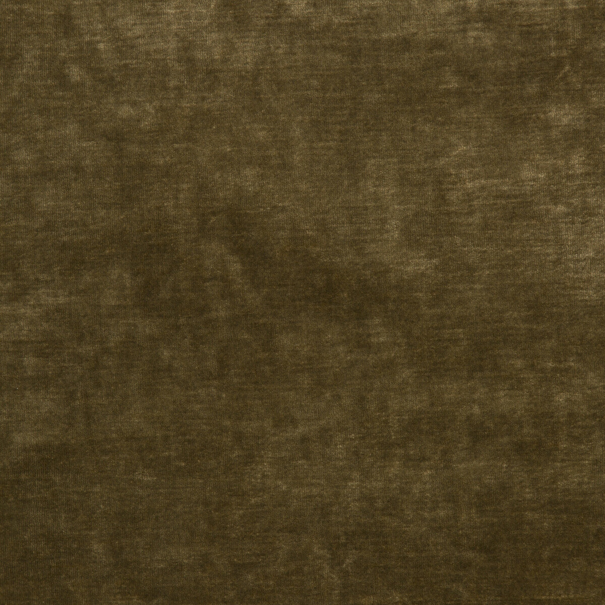 347818300-queens-velvet-gold-kravet-couture