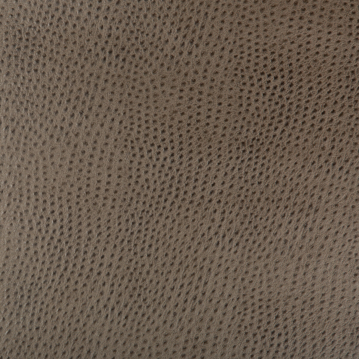 hubble1060-kravet-design-hubble-106-kravet-design