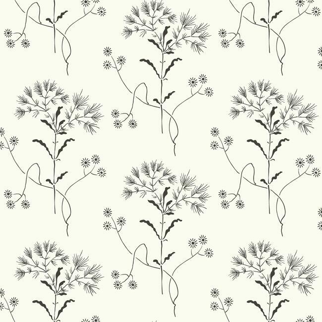 Wildflower Premium Peel + Stick Wallpaper - Black On White - York Wallcoverings - PSW1153RL