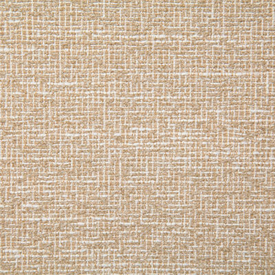 Pindler Fabric REE016-BG09 Reed Beige