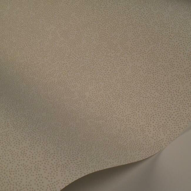 champagne-dots-wallpaper-linen-white-york-wallcoverings-ri5115