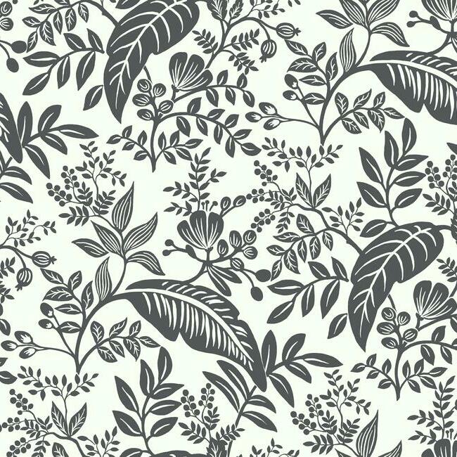 canopy-wallpaper-black-white-york-wallcoverings-ri5136