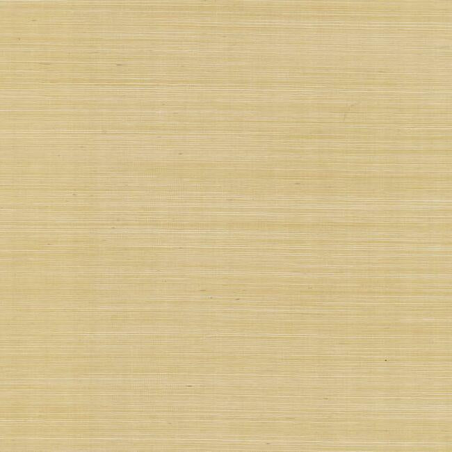 Palette Wallpaper - Gold - York Wallcoverings - RI5185