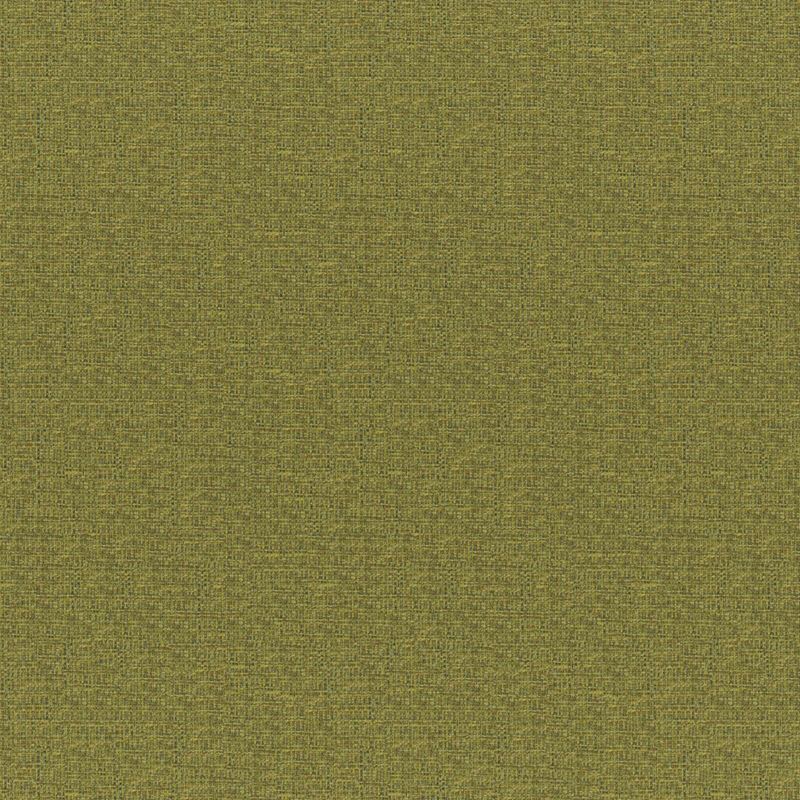 Maxwell Fabric RO2833 Rockhopper Fern