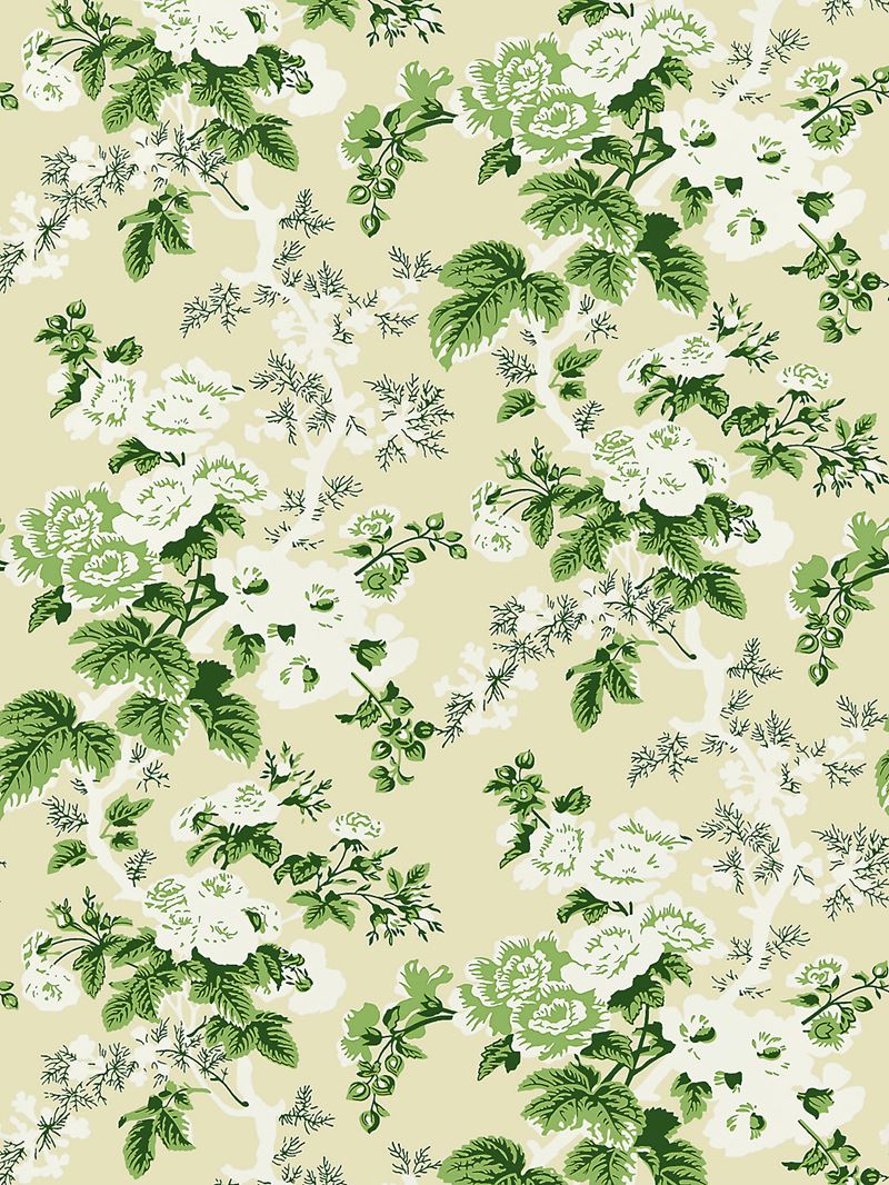 Scalamandre Wallpaper SC 0001WP88372 Ascot Floral Print Verdure