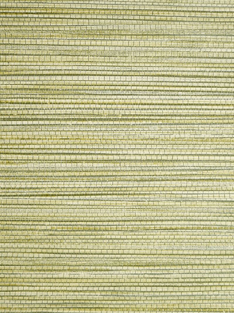 Scalamandre Wallpaper SC 0004WP88441 Willow Weave Grass