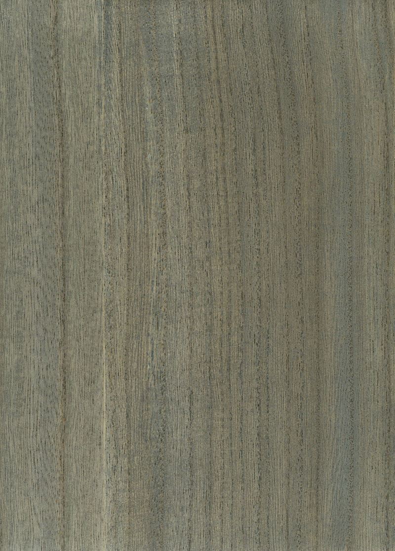 Scalamandre Wallpaper SC 0022WP88478 Woodgrain Beach Glass