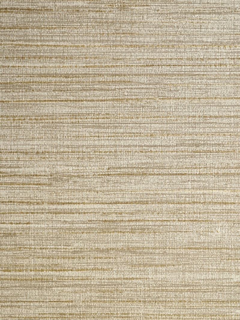 Scalamandre Wallpaper SC 0032WP88437 Feather Reed Driftwood
