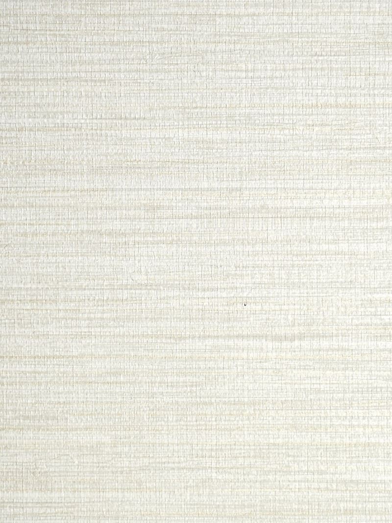 Scalamandre Wallpaper SC 0038WP88437 Feather Reed Travertine