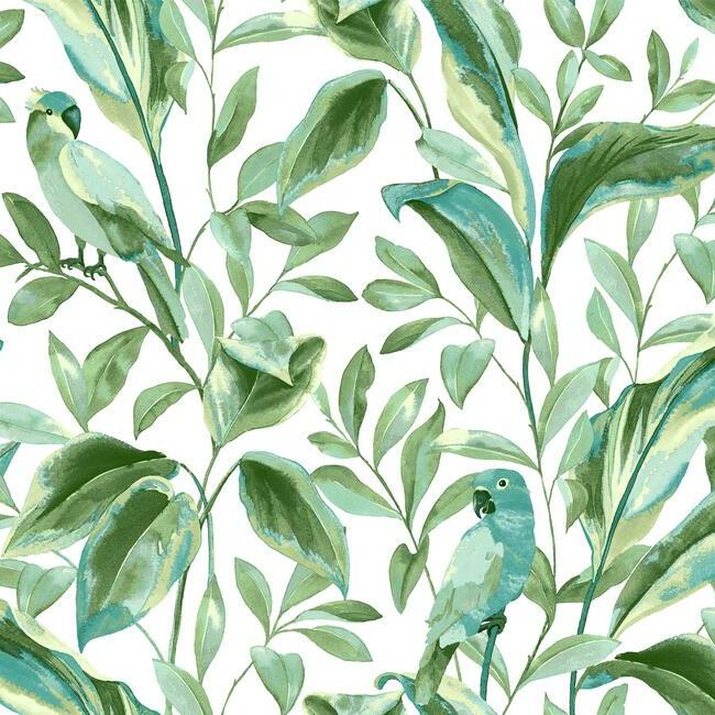 tropical-love-birds-wallpaper-white-aqua-york-wallcoverings-tc2654