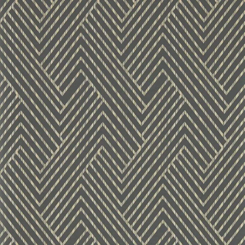 Clarke and Clarke Wallpaper W0181-1 Grassetto Charcoal Wp