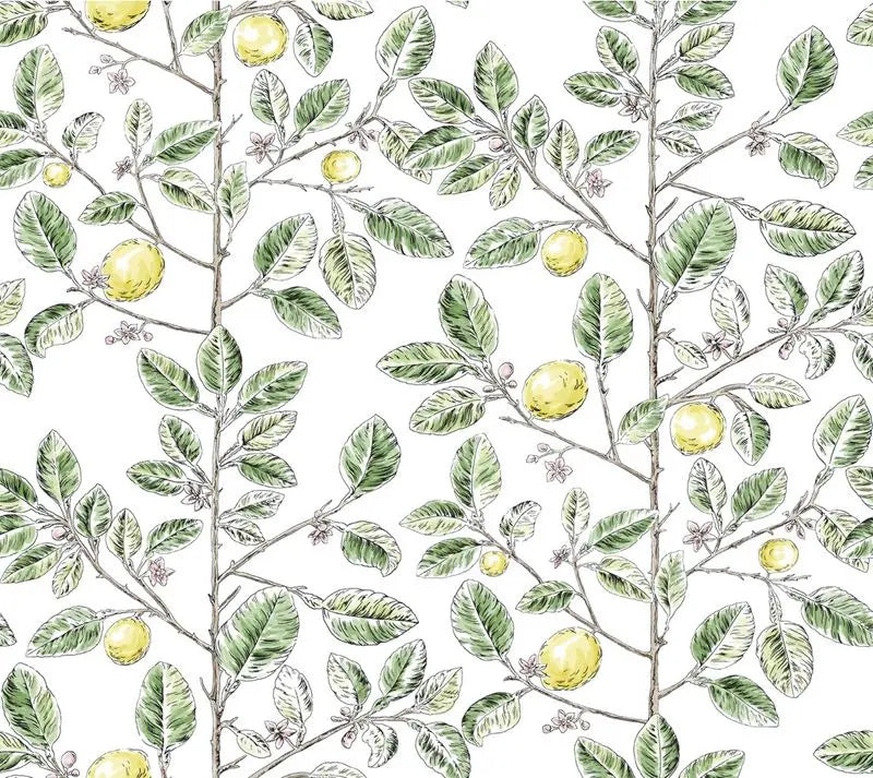 Wallpaper W4241.340 Kravet Design by