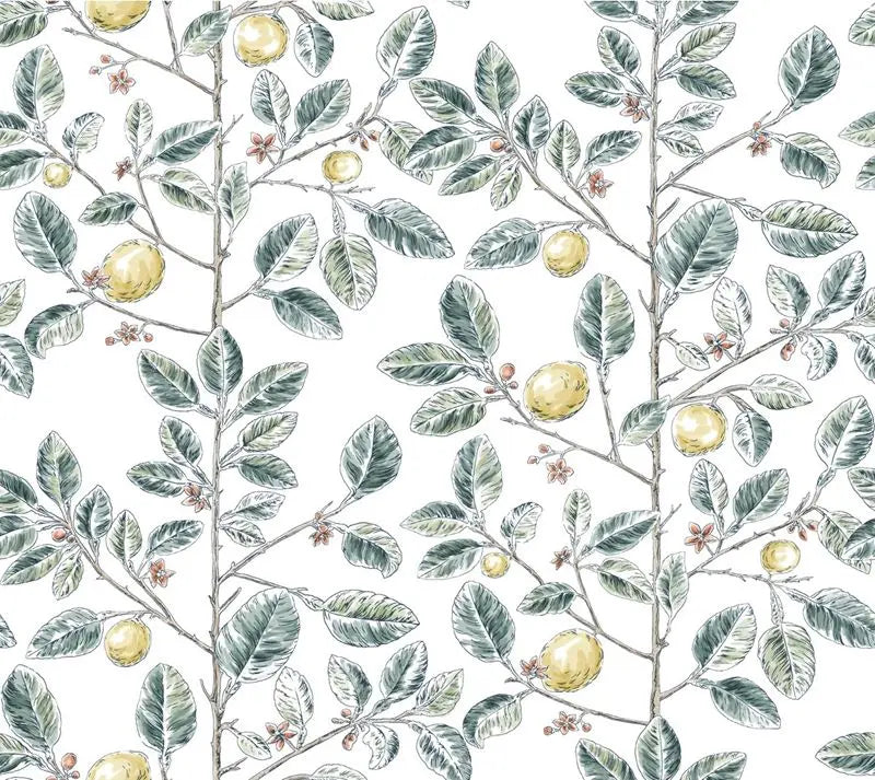 Wallpaper W4241.354 Kravet Design by