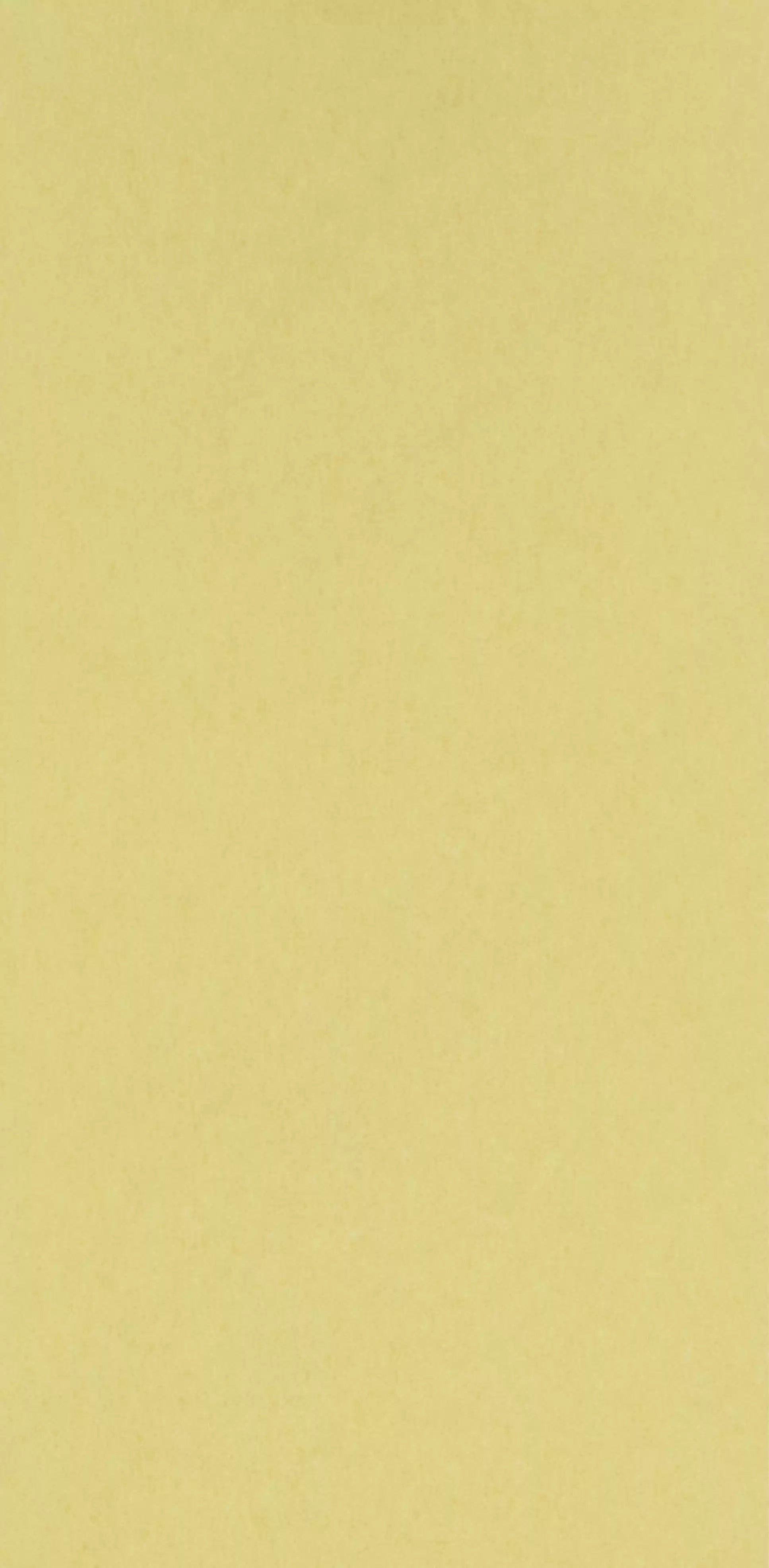 chroma-lemon-osborne-little-w7360-05