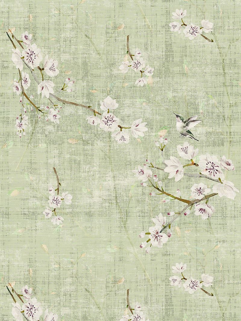 Scalamandre Wallpaper WNM1055BLOS Blossom Fantasia Celadon