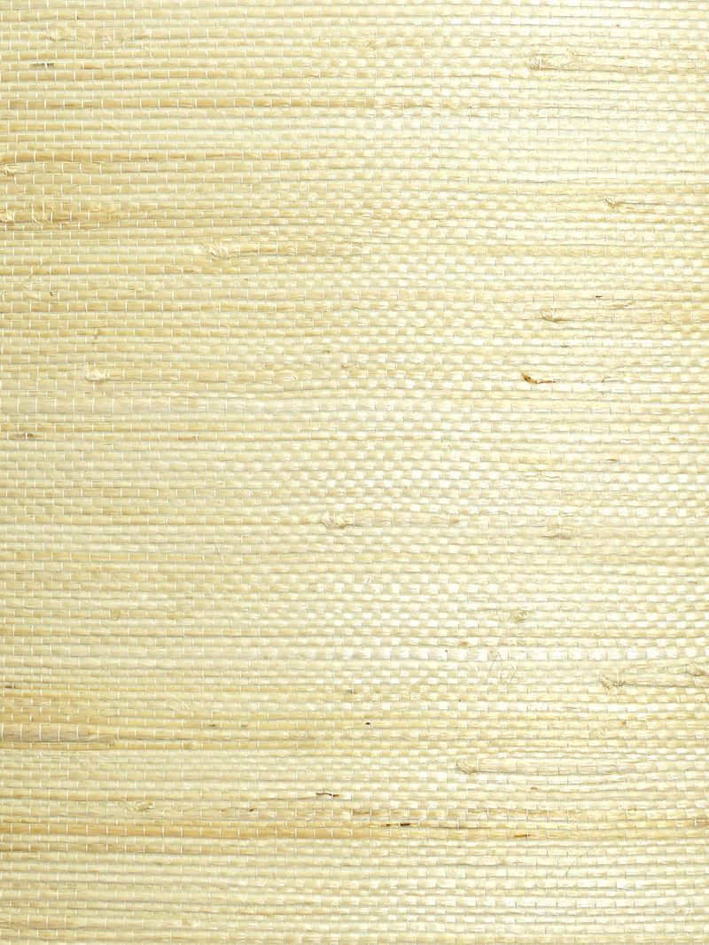 Scalamandre Wallpaper WTWSG5635 Natural Jute Cotton
