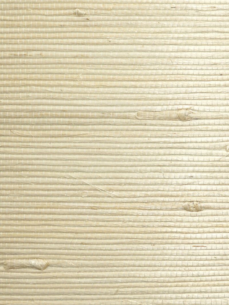 Scalamandre Wallpaper WTWSG5636 Natural Jute Cotton In The Raw