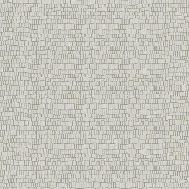 Skin Wallpaper - Light Grey - York Wallcoverings - Y6230401