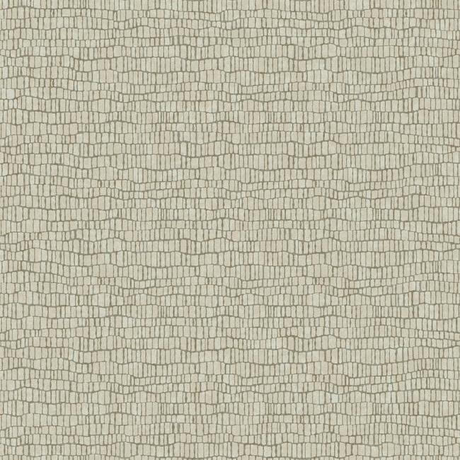 Skin Wallpaper - Beige - York Wallcoverings - Y6230402