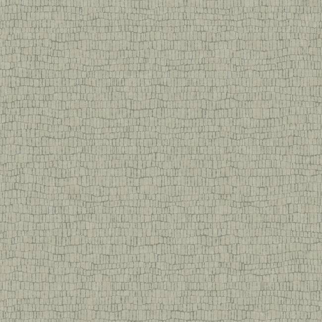 Skin Wallpaper - Mink - York Wallcoverings - Y6230404