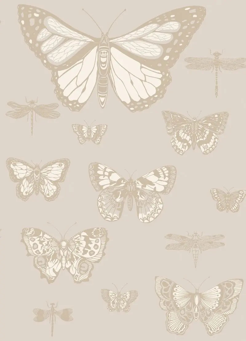 Cole & Son Wallpaper 103/15064.CS Butterflies & Dragonflies Grey