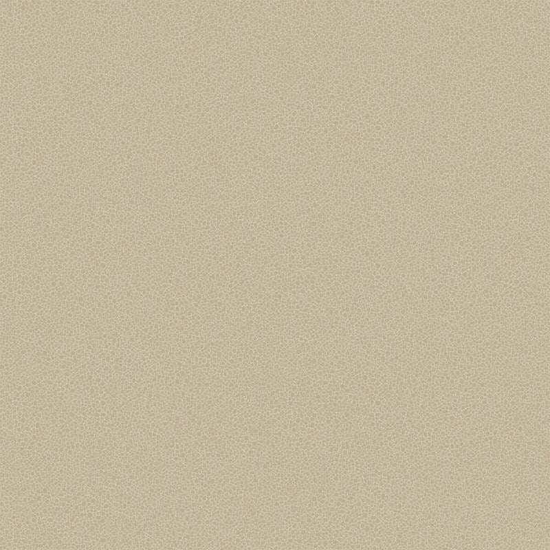 Cole & Son Wallpaper 107/9042.CS Goldstone Stone & Gilver