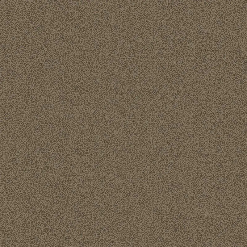 Cole & Son Wallpaper 107/9044.CS Goldstone Black & Bronze