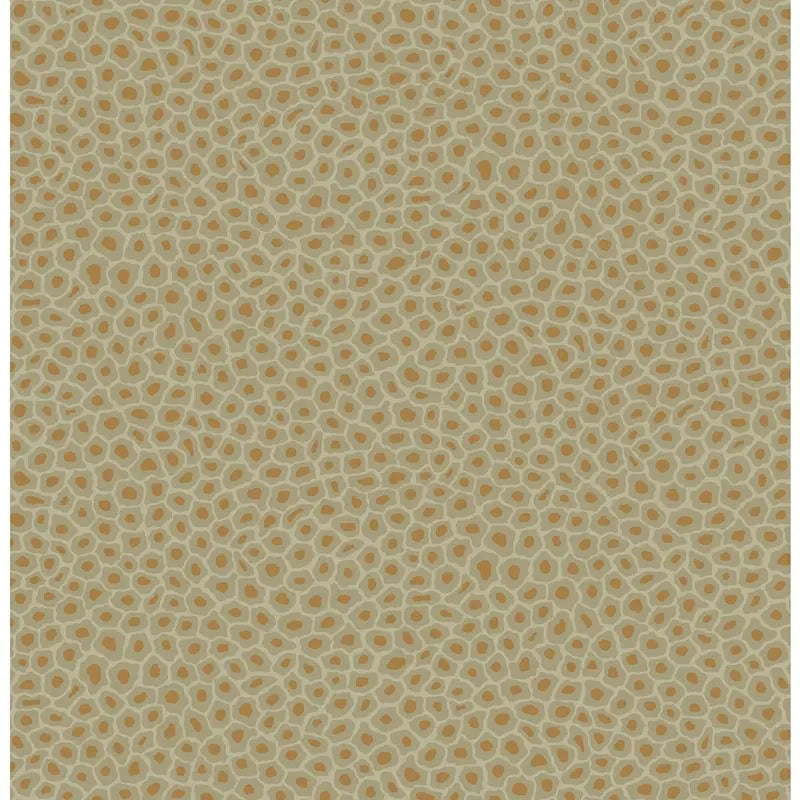 Cole & Son Wallpaper 109/6029.CS Senzo Spot Olive