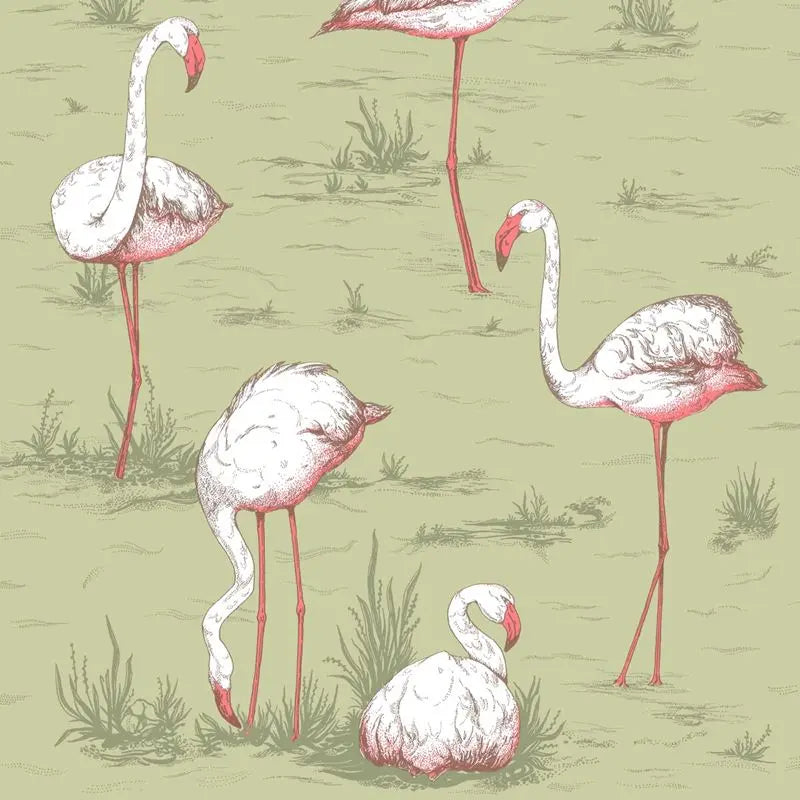 Cole & Son Wallpaper 112/11038.CS Flamingos Olive