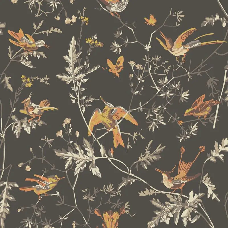 Cole & Son Wallpaper 112/4017.CS Hummingbirds Charcoal/Ginger