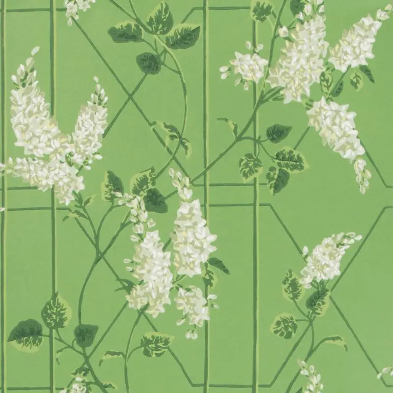 Cole & Son Wallpaper 115/5016.CS Wisteria Sage/Leaf Green