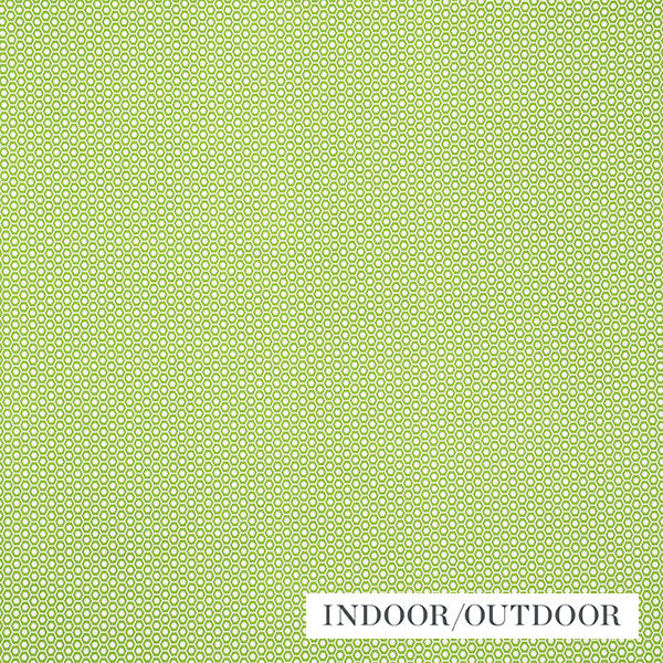 Schumacher Fabric 176560 Queen B II Green