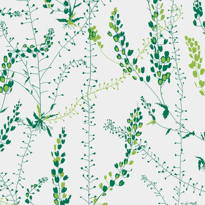 Schumacher Wallpaper 1787 Bladranker Leaf