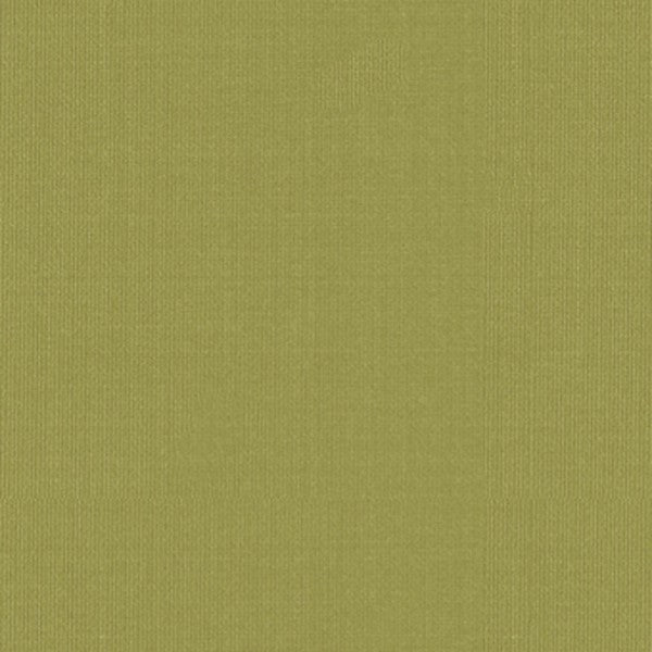 Schumacher Fabric 22652 Sargent Silk Taffeta Linden