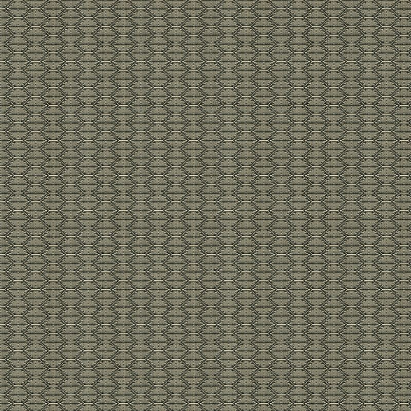 Kravet Contract Fabric 33862.1621 Nzuri Thunder