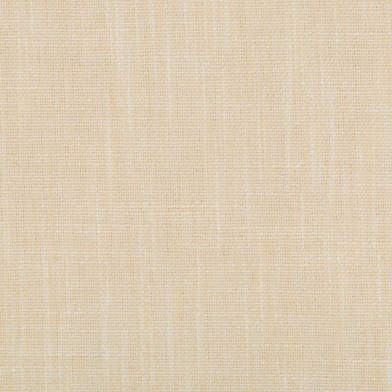 Fabric 35226.116 Kravet Smart by