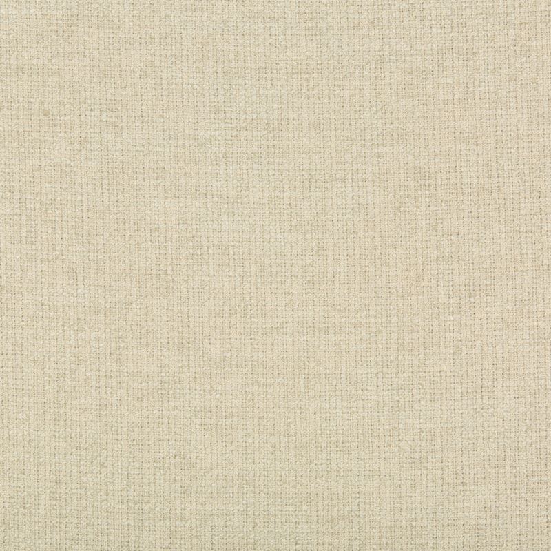 Fabric 35329.111 Kravet Smart by